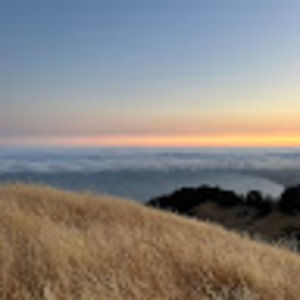 Meet your Posher, Lila